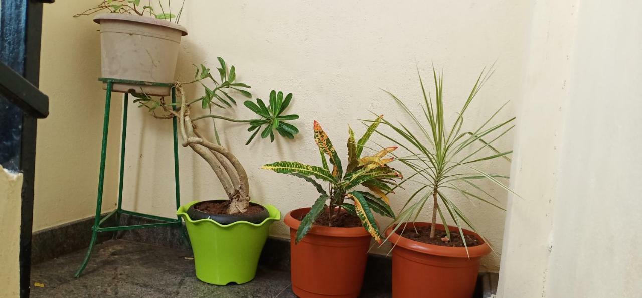 Gopi Homestay Hampi Exterior foto